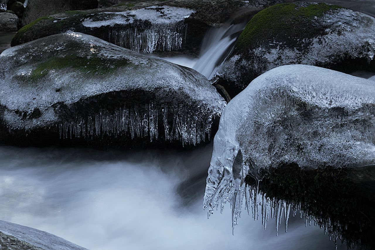 Arroyo de la Angostura