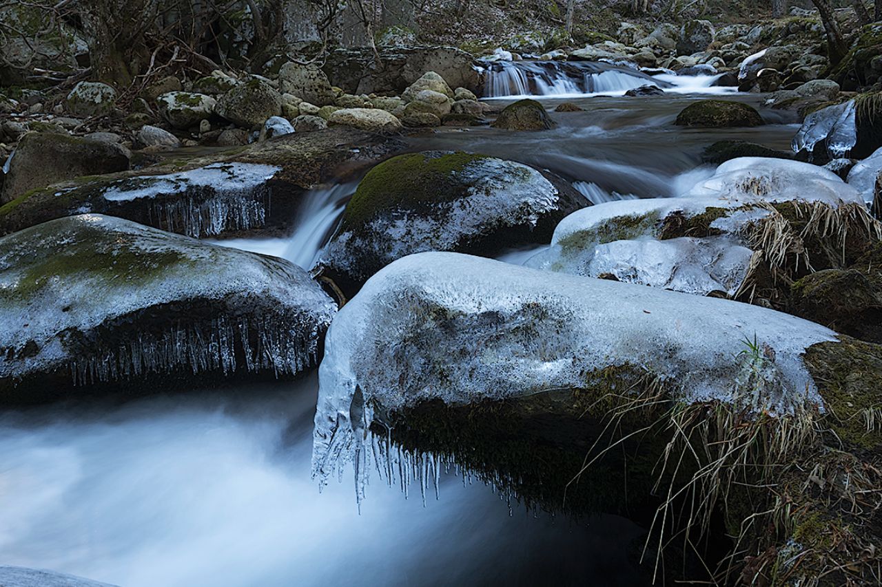 Arroyo de la Angostura