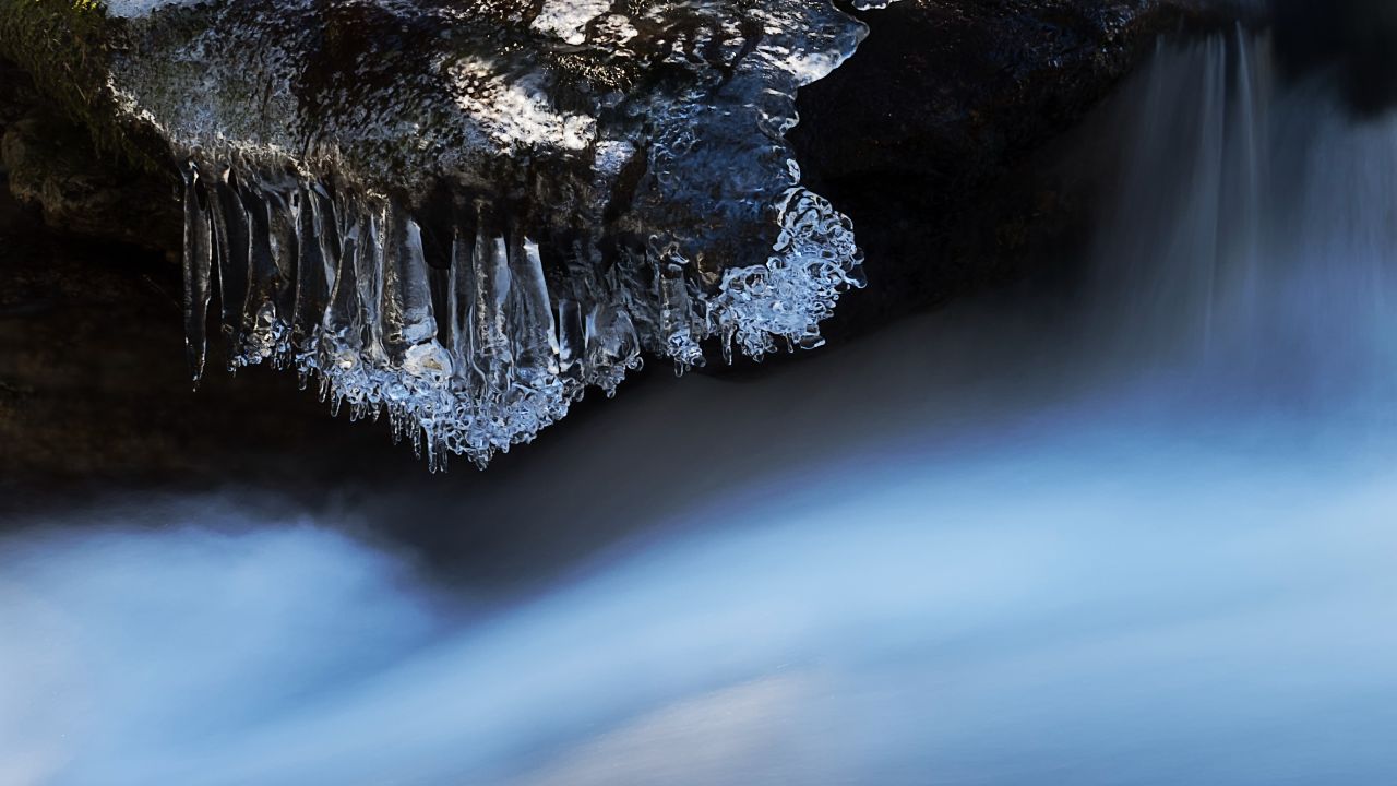 Arroyo de la Angostura