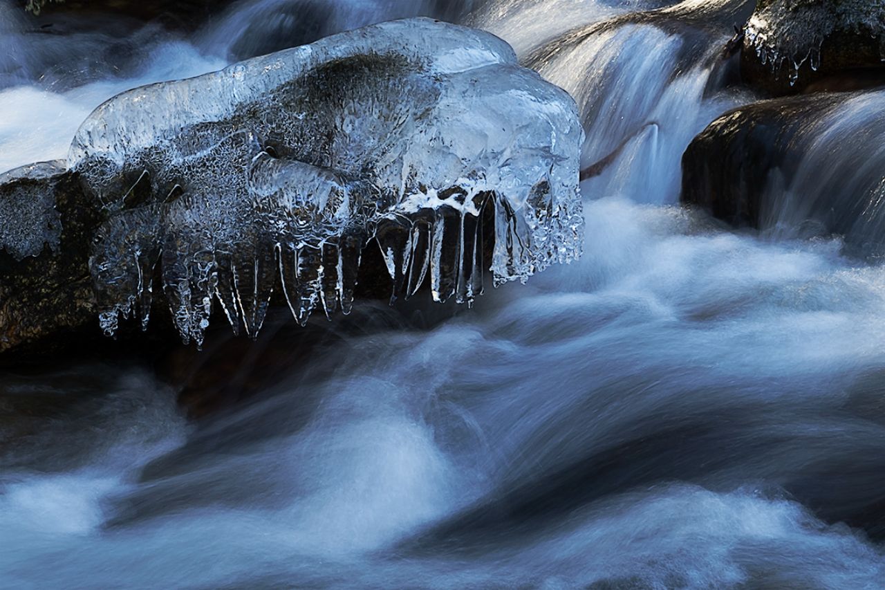 Arroyo de la Angostura