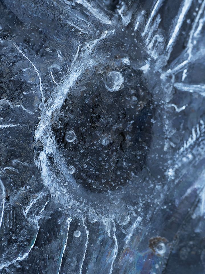 Arroyo de la Angostura