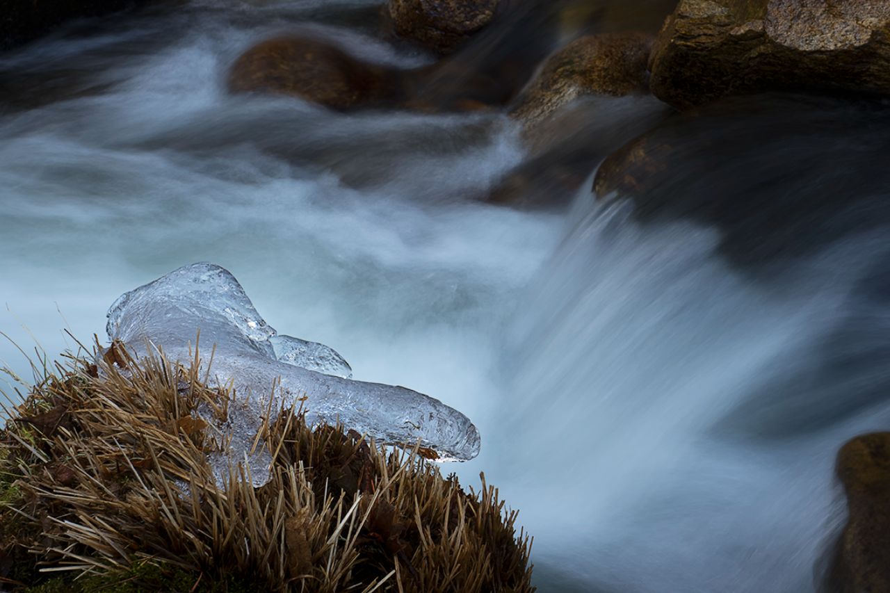 Arroyo de la Angostura