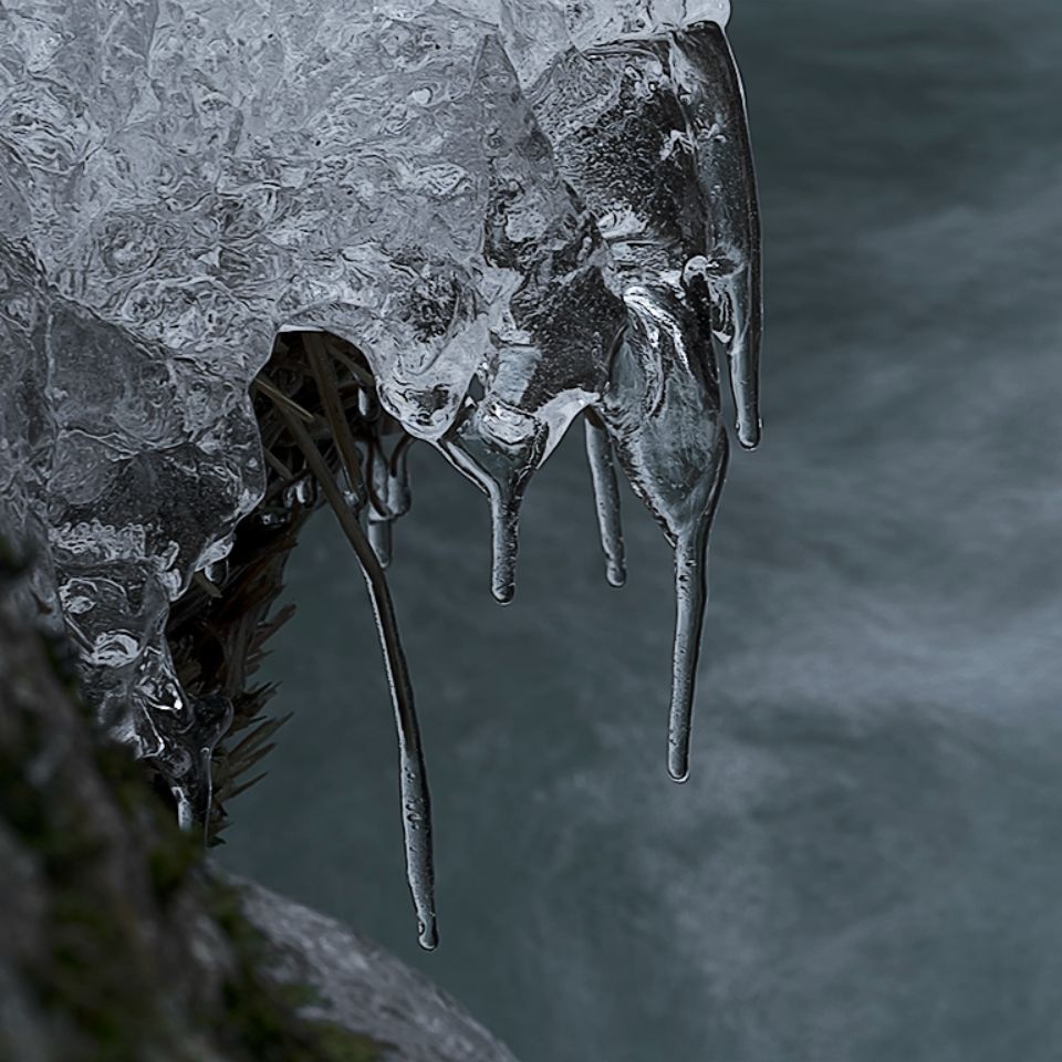 Arroyo de la Angostura