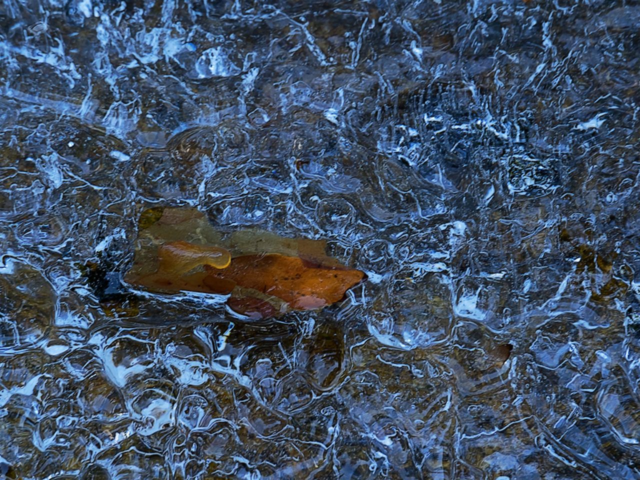 Arroyo de la Angostura