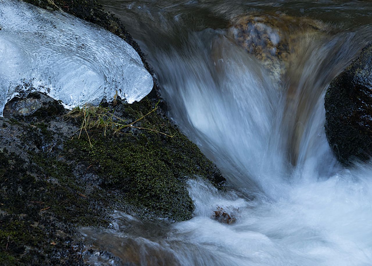 Arroyo de la Angostura