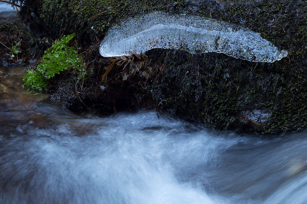 Arroyo de la Angostura
