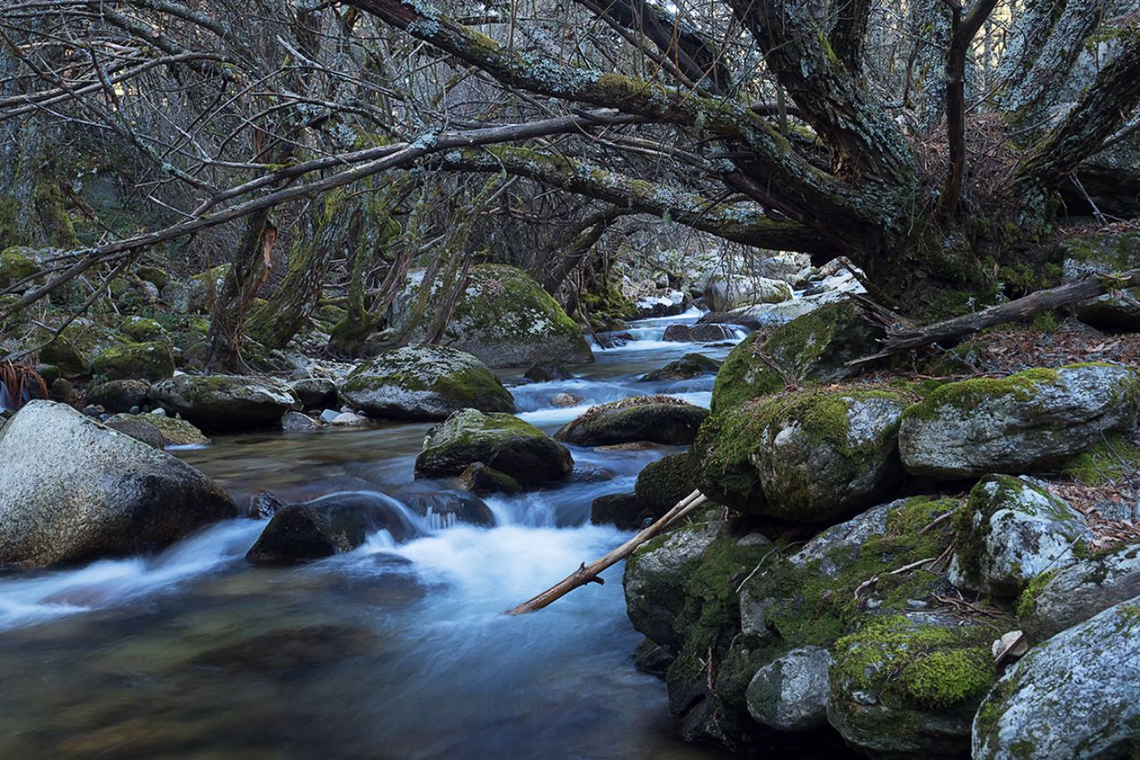 Arroyo de la Angostura