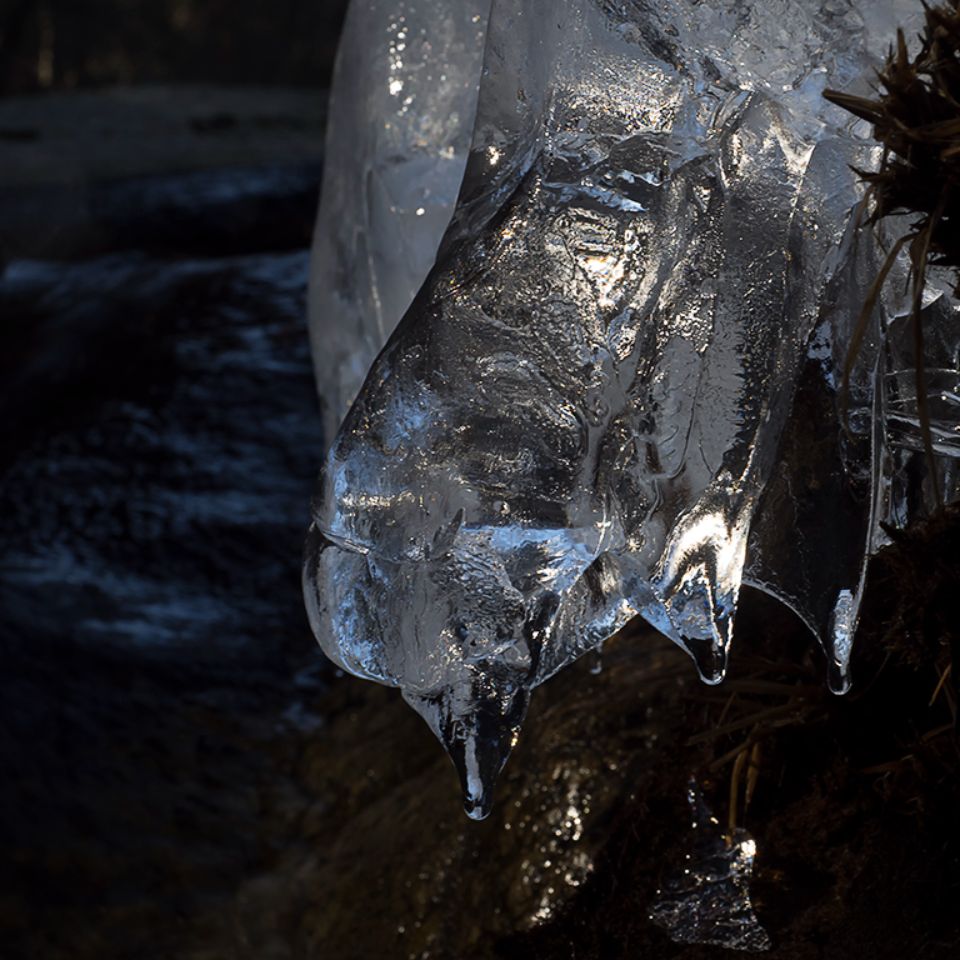 Arroyo de la Angostura