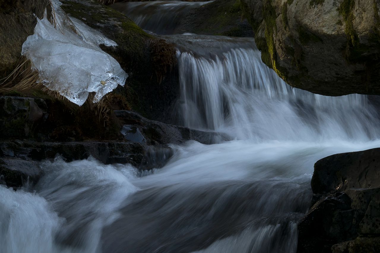 Arroyo de la Angostura