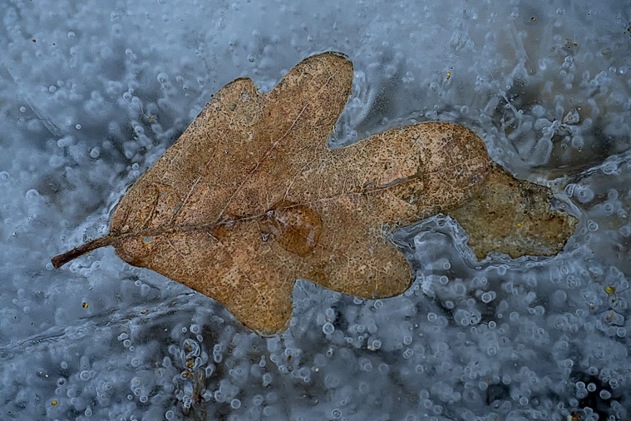 Arroyo de la Angostura