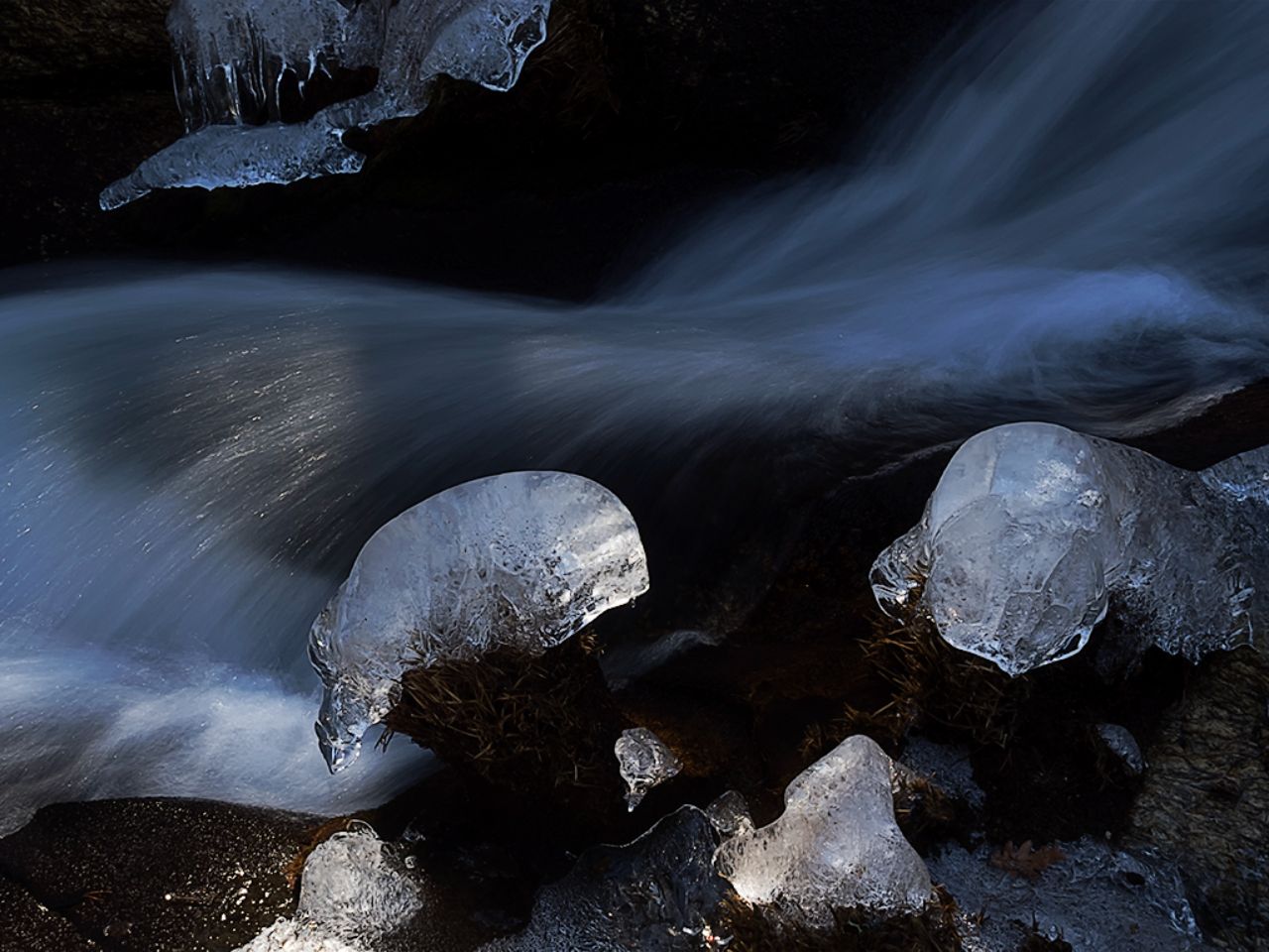 Arroyo de la Angostura