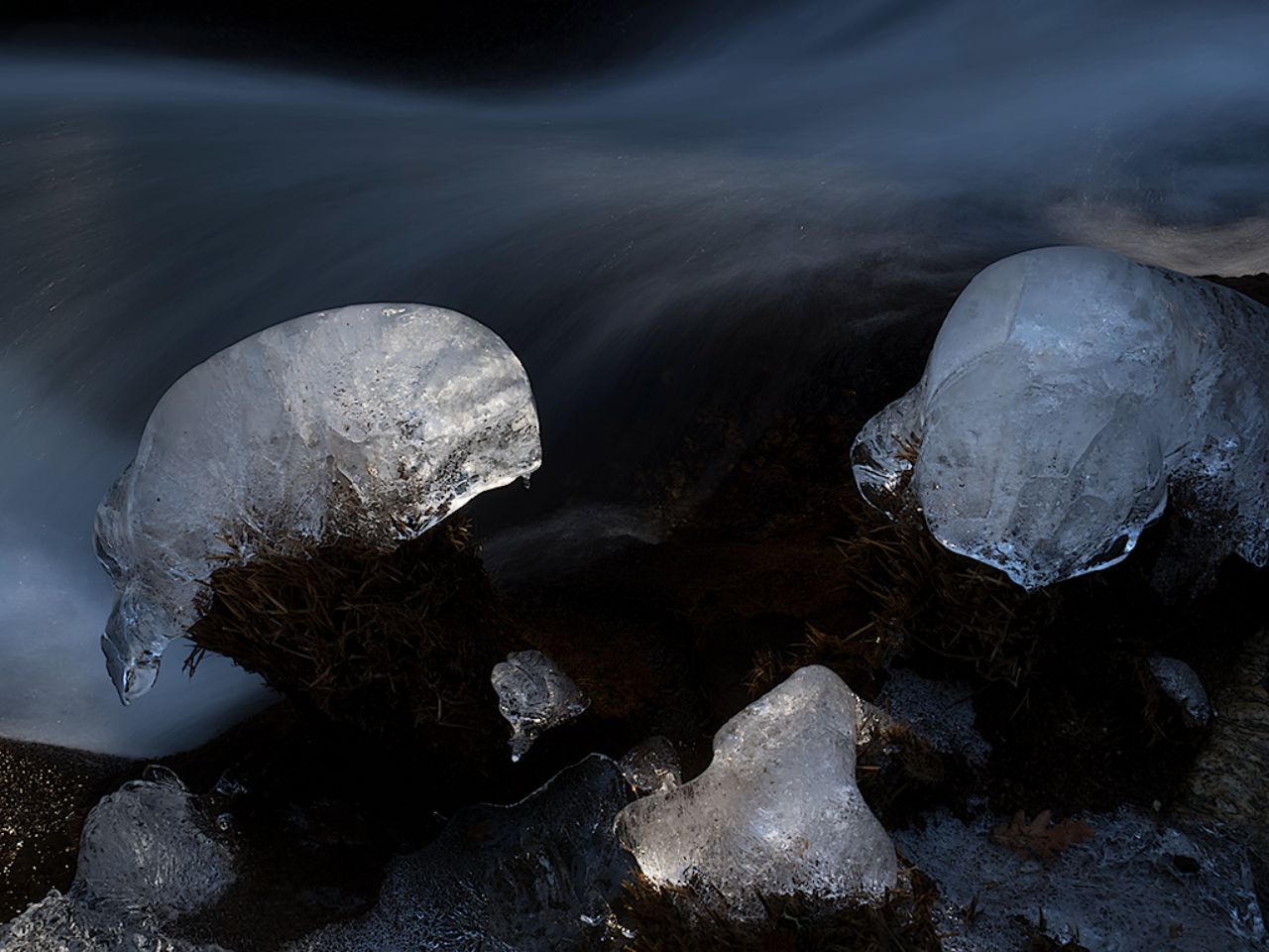 Arroyo de la Angostura