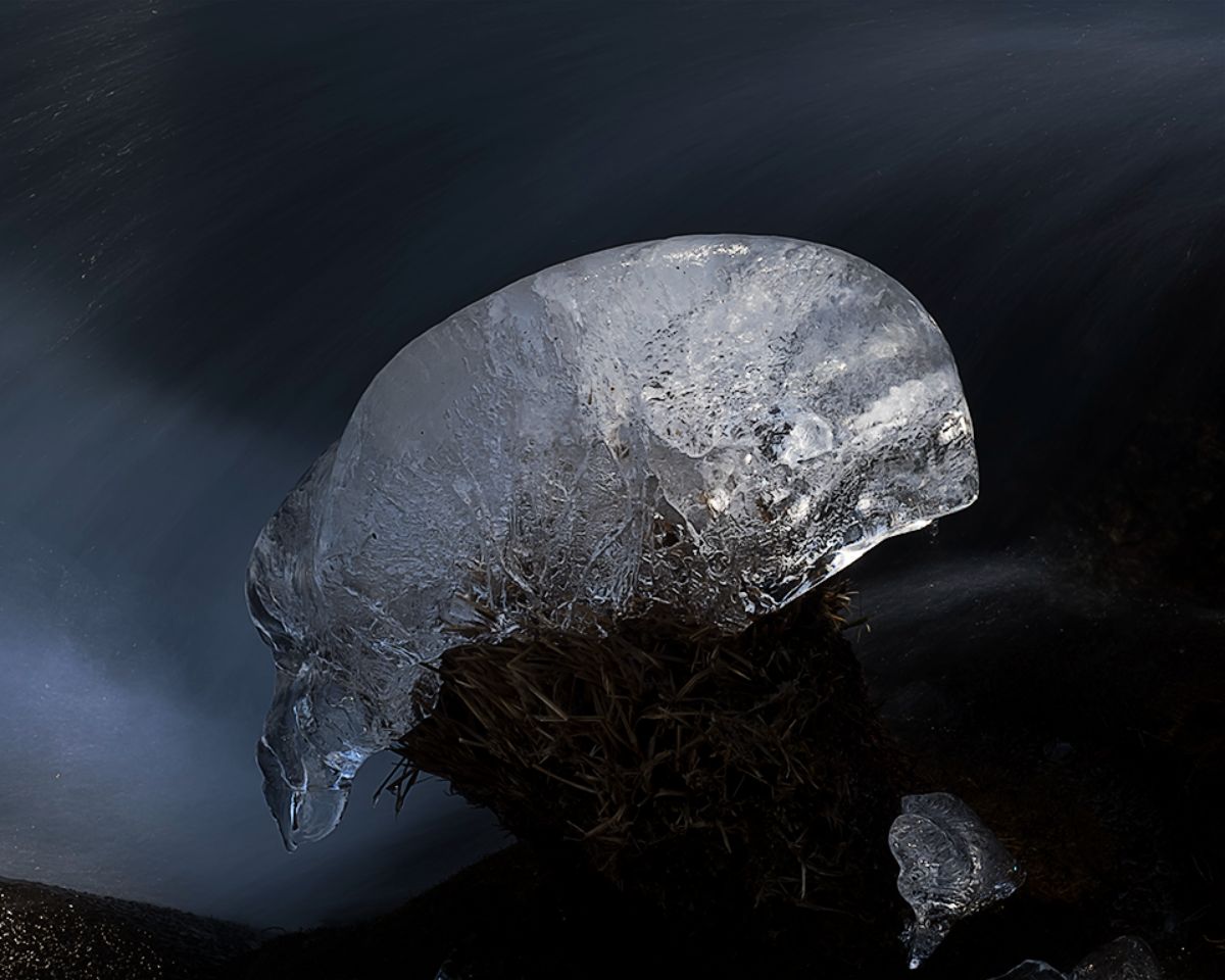 Arroyo de la Angostura