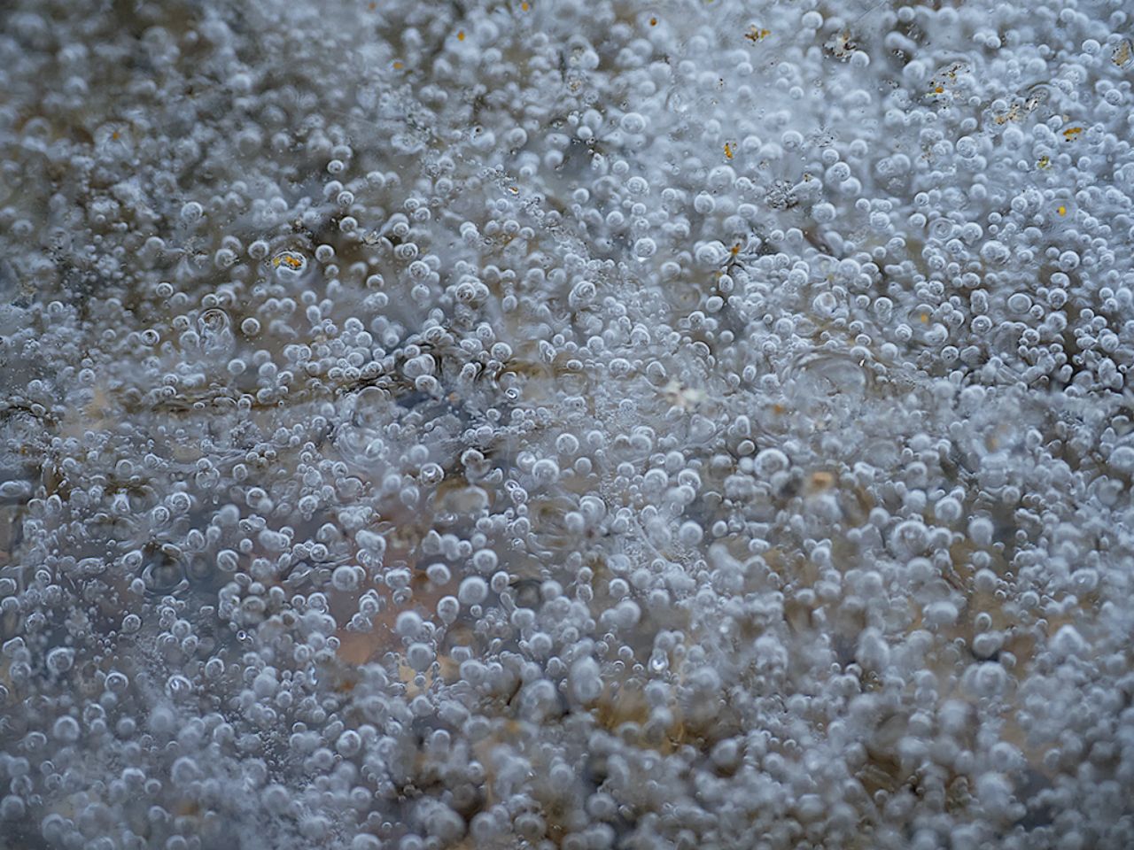 Arroyo de la Angostura