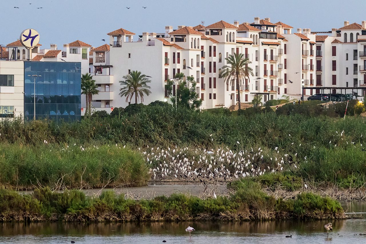 Un humedal acosado por el ladrillo