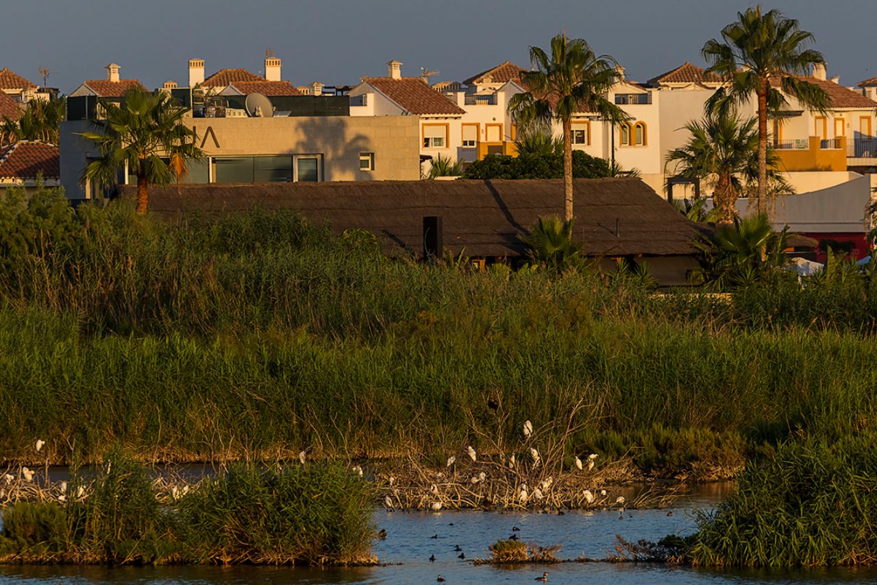 Un humedal almeriense en entorno urbano