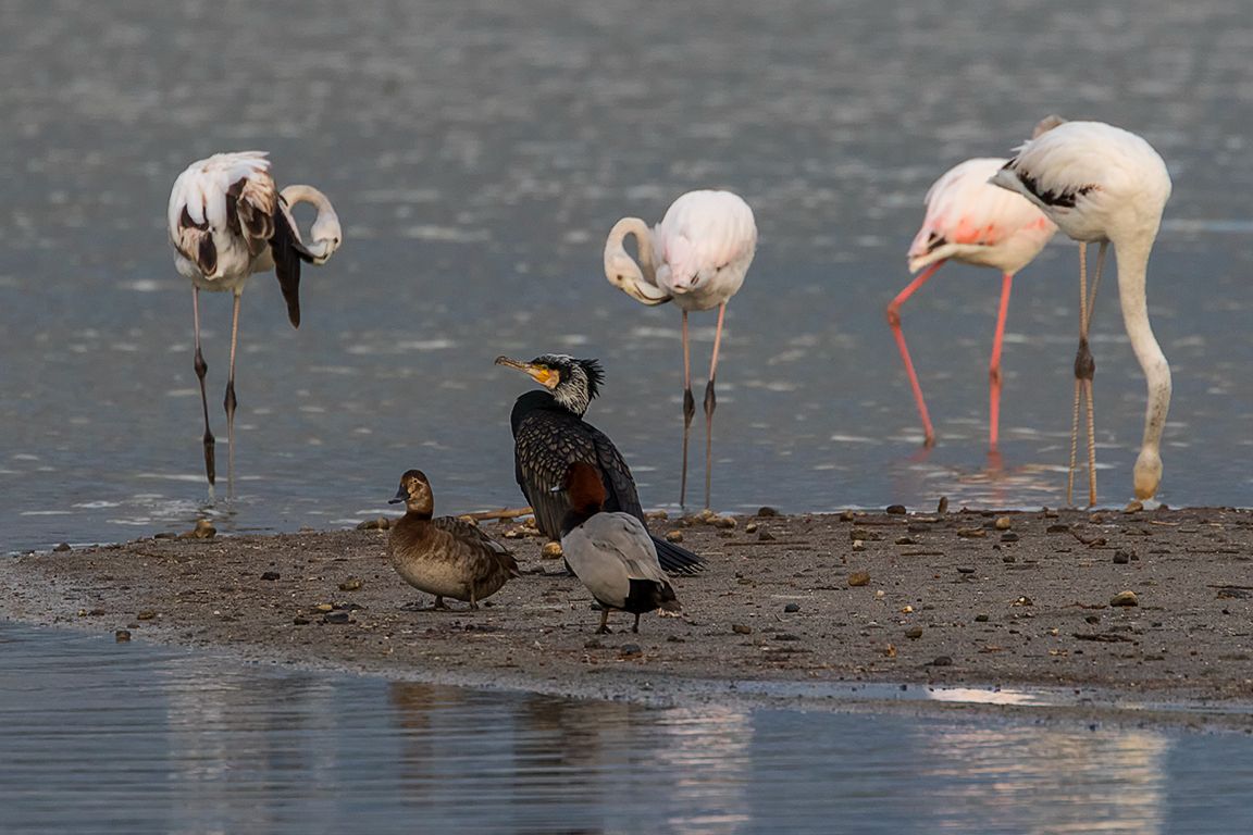 Ambiente de convivencia