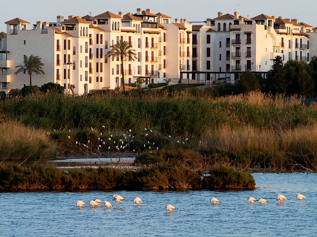 Un humedal acosado por el ladrillo