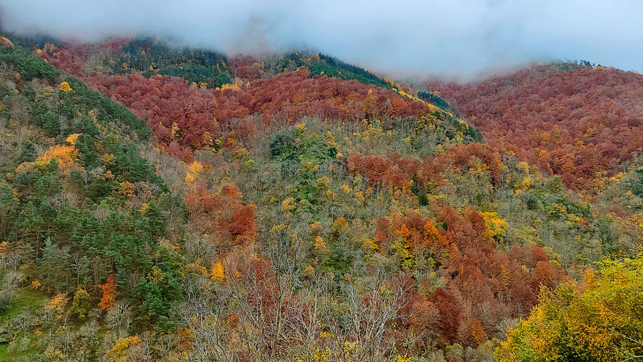 Monasterios de Valvanera
