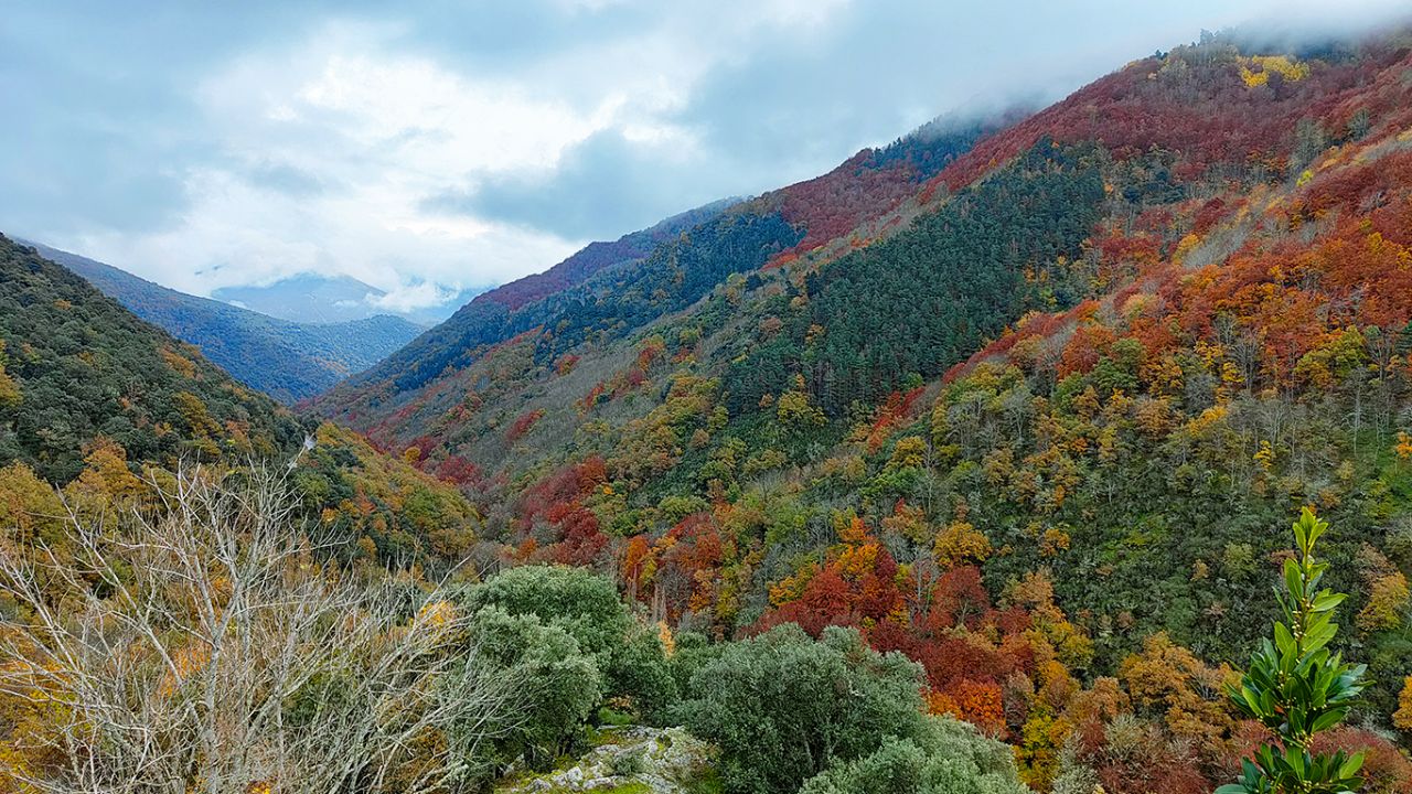 Monasterios de Valvanera