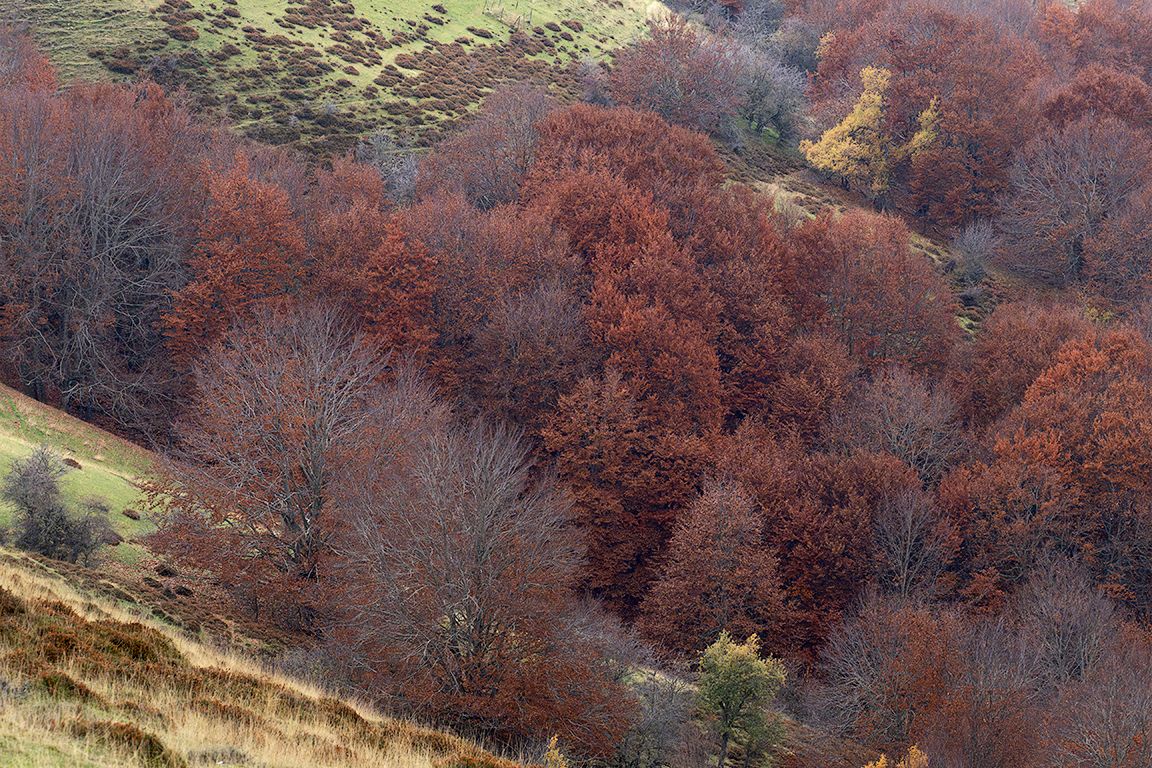 Otoño en la sierra