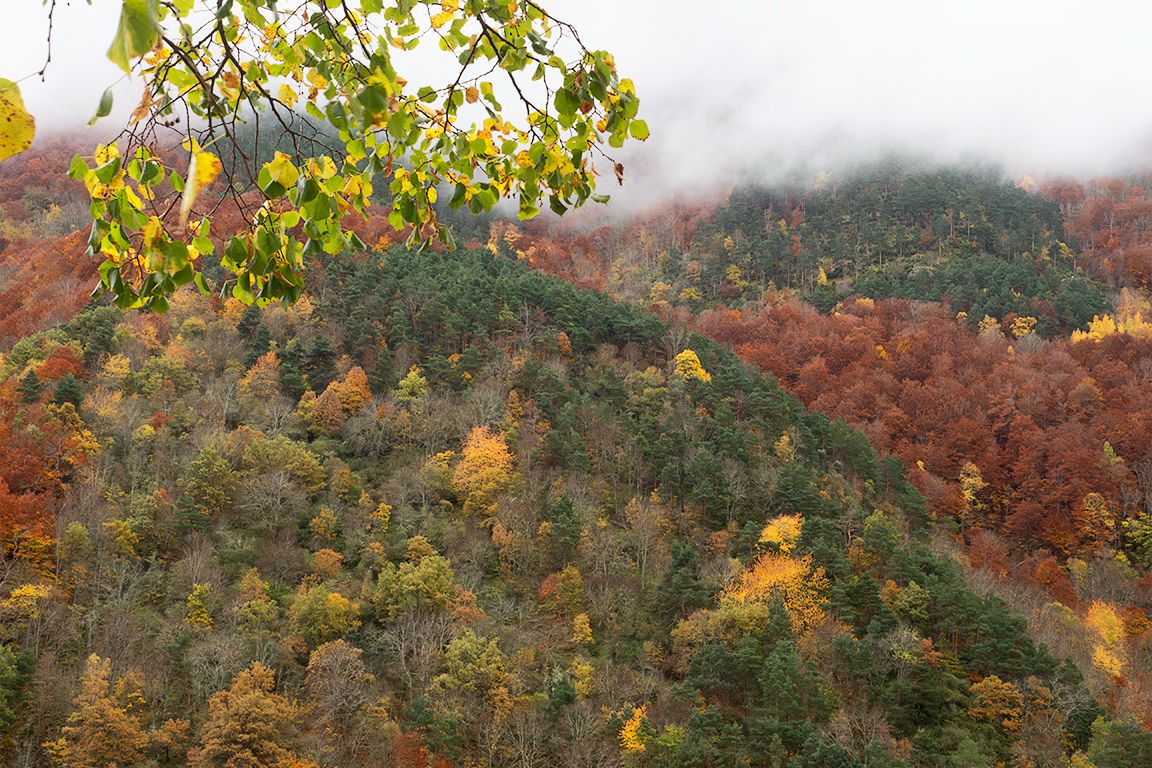 Monasterios de Valvanera