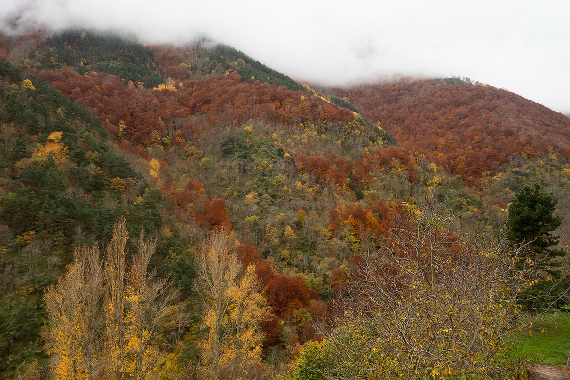 Monasterios de Valvanera