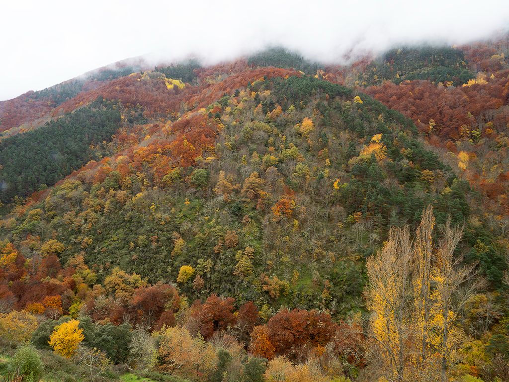 Monasterios de Valvanera