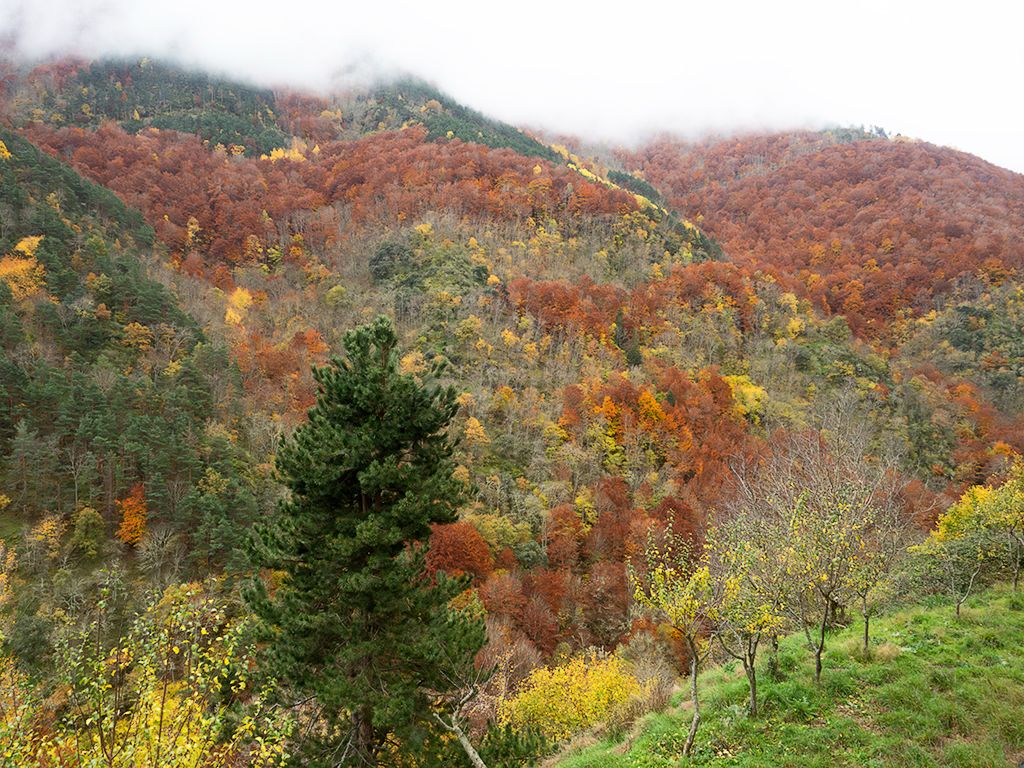 Monasterios de Valvanera