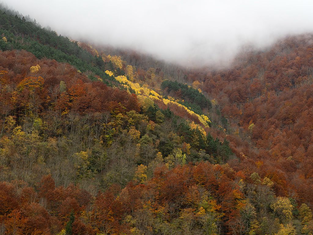 Monasterios de Valvanera