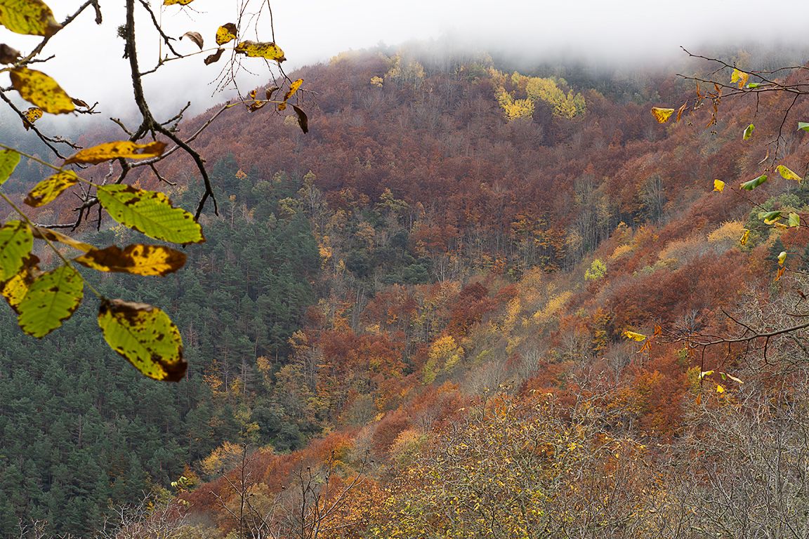 Monasterios de Valvanera