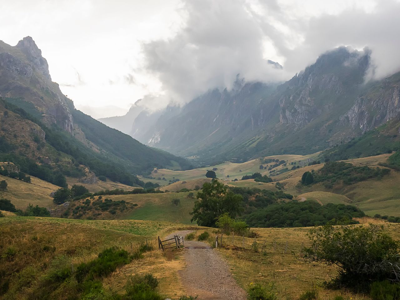 Amenazaba y vaya si descargó...