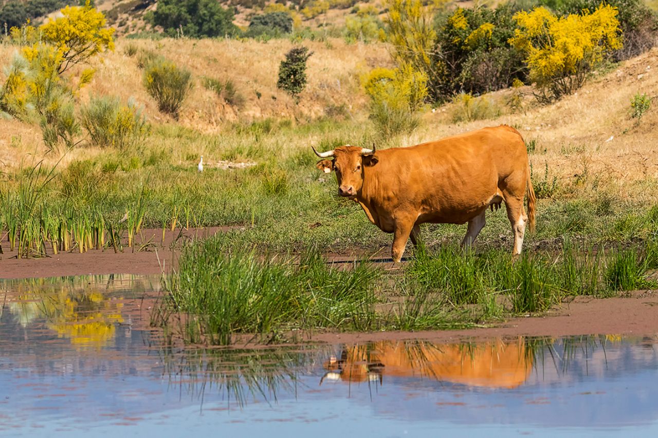 Acercándose al agua