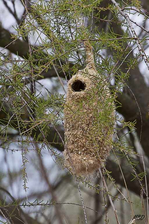 Una obra de ingeniería