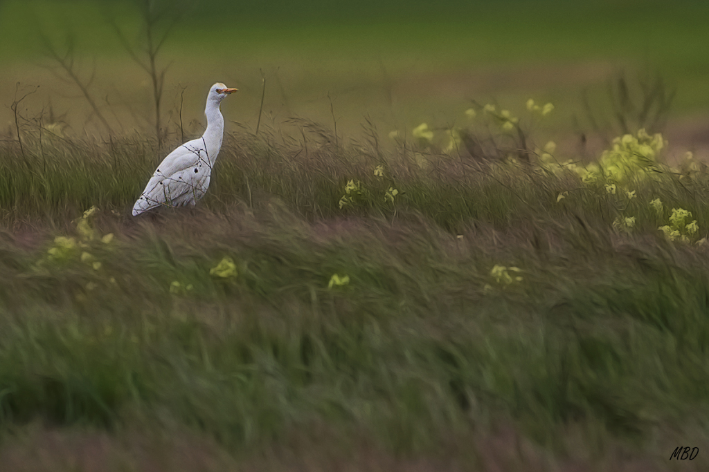 En un entorno atractivo