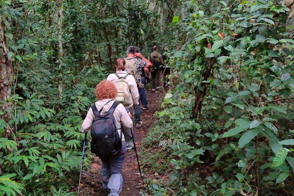 Un trekking adentrándonos en la selva