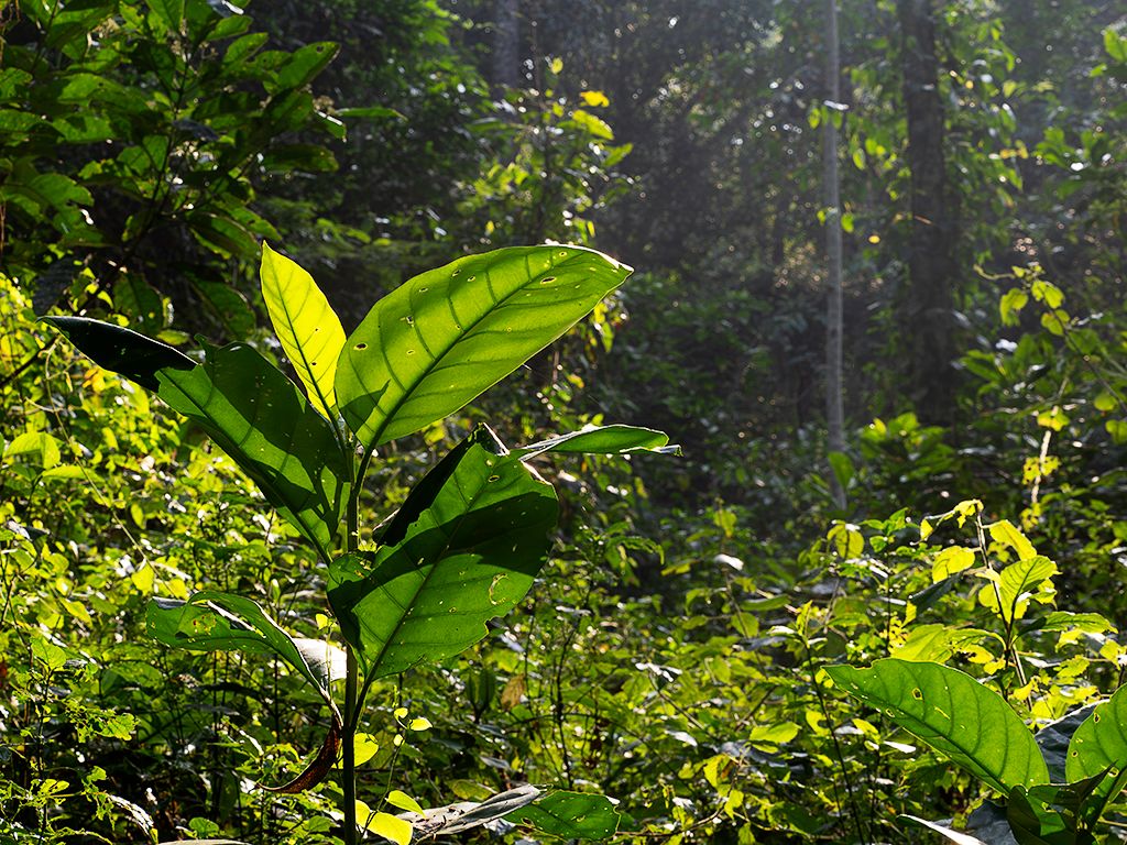 El entorno es espectacular