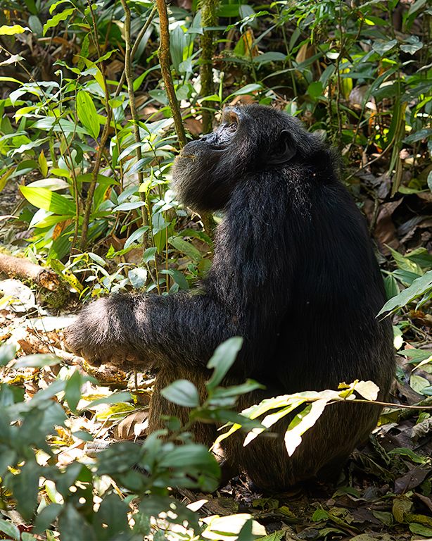 Están a nuestro lado