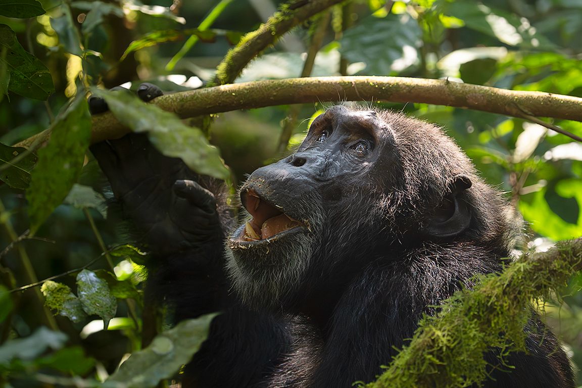 Y de buscar su mirada
