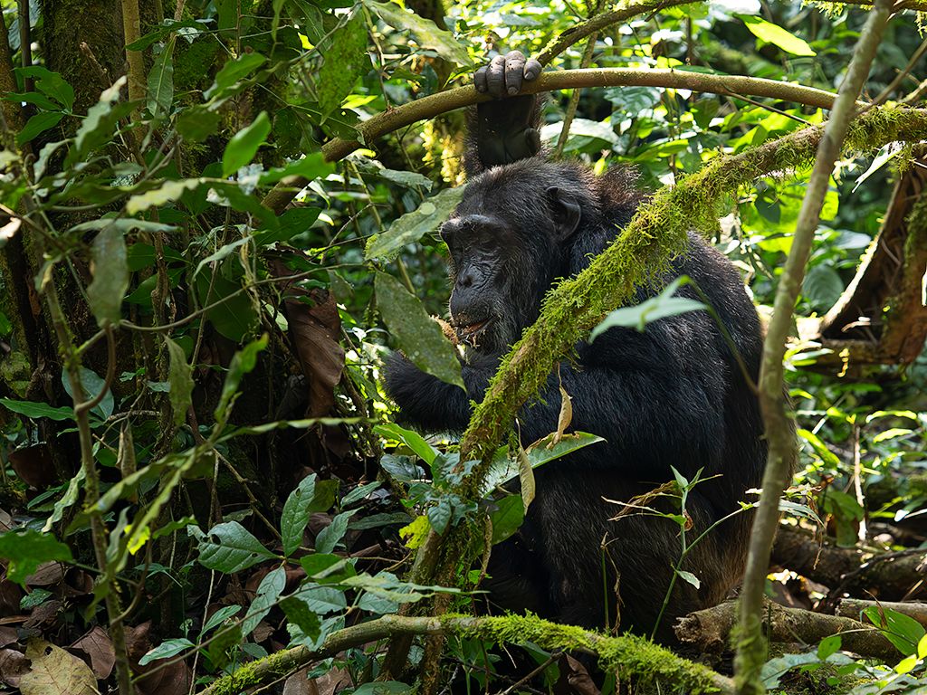 Comiendo los frutos del suelo