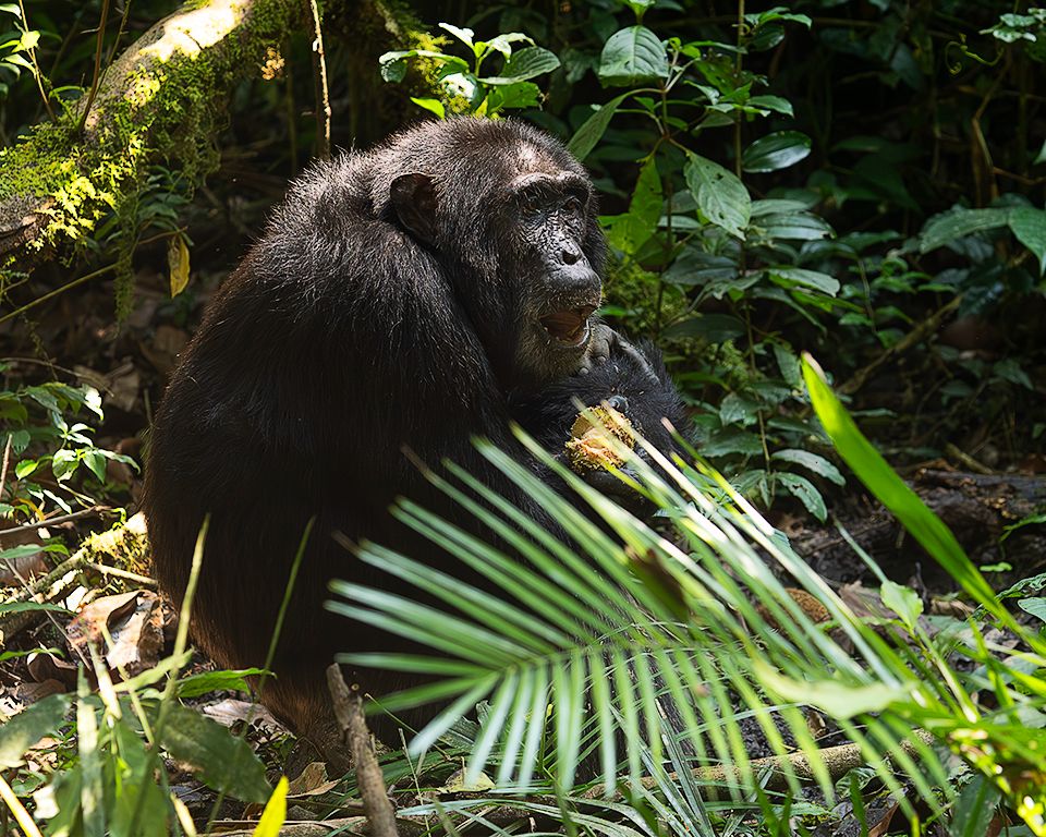 Comiendo los frutos del suelo
