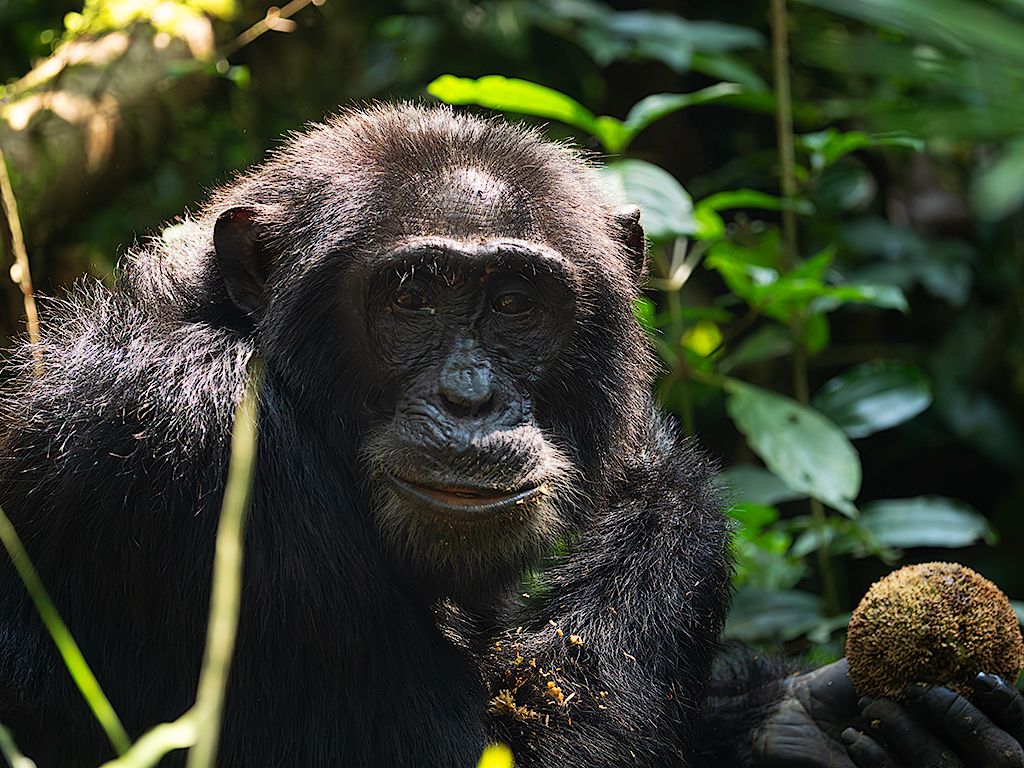 Comiendo los frutos del suelo