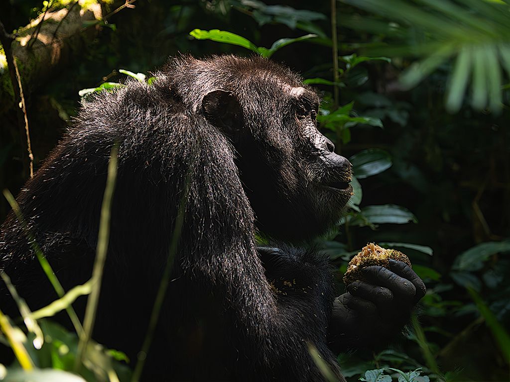 Comiendo los frutos del suelo