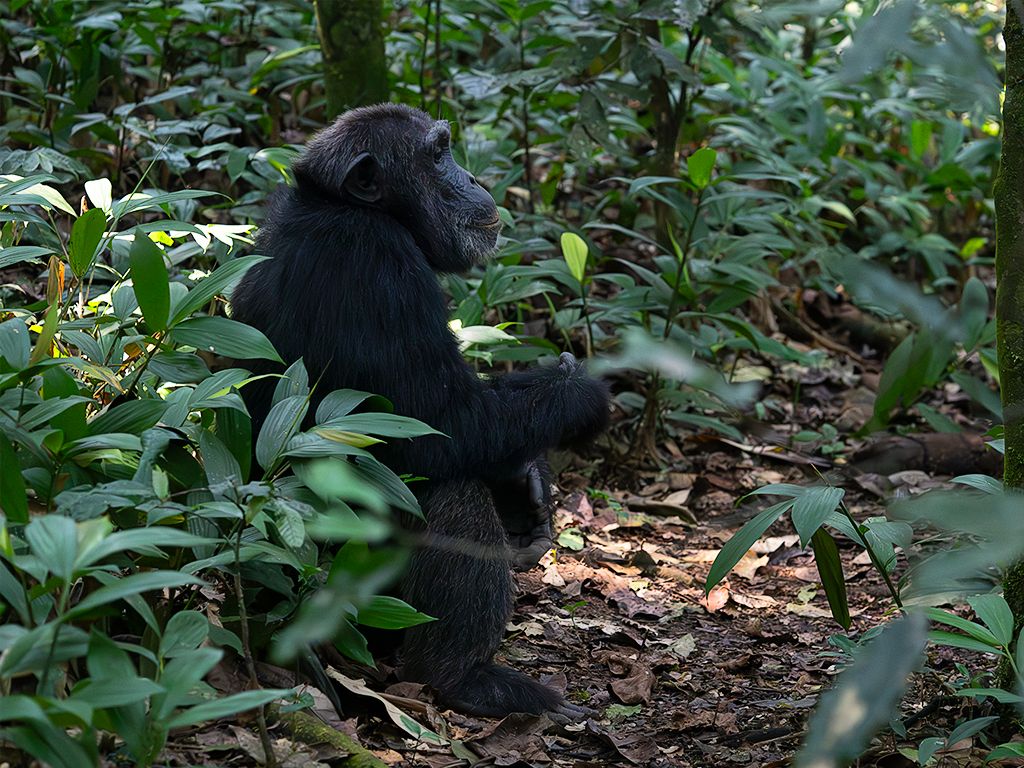 Y continuamos con ellos