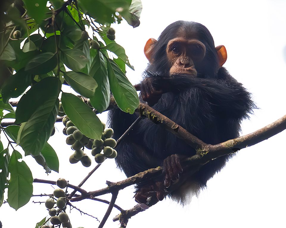 y nos recibe este pequeñajo