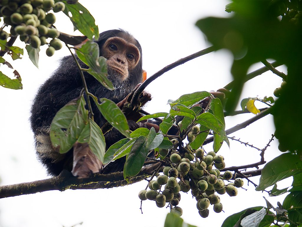 Su madre no anda lejos
