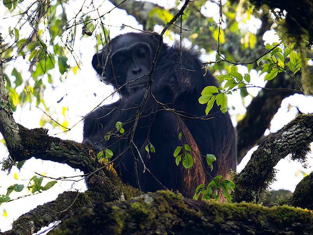 No pinta que quieran bajar