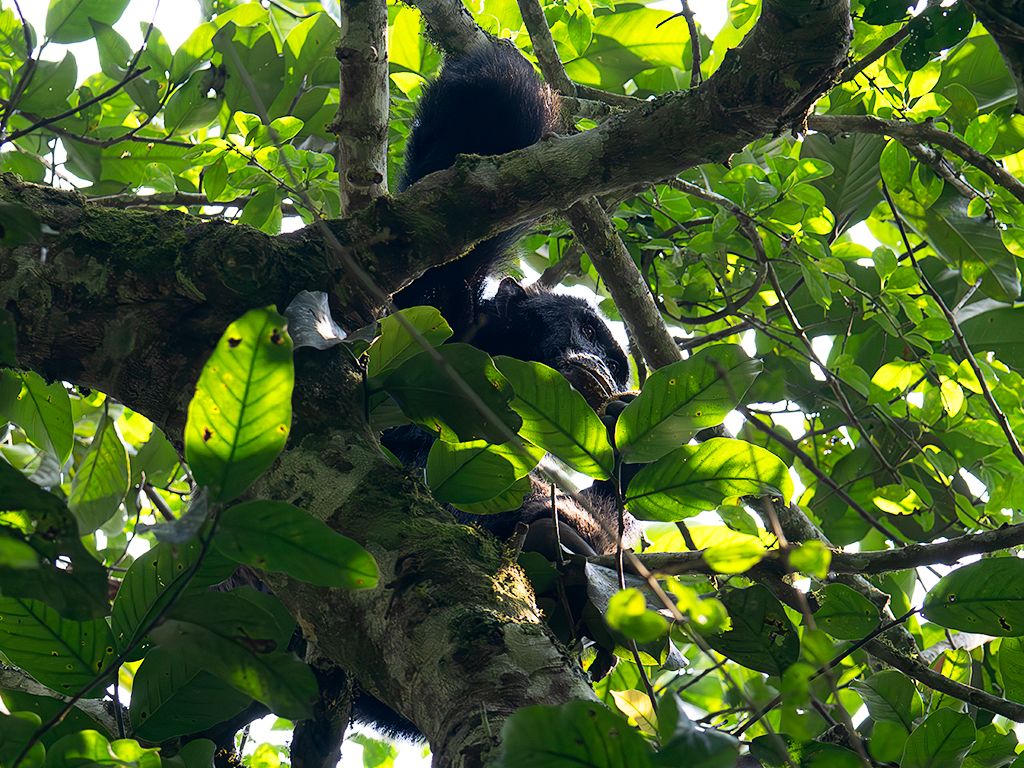 Una hora después...
