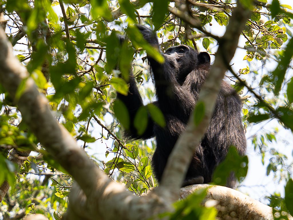 Y la sesión toca a su fin. Misión cumplida.