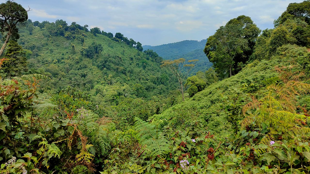 Toca abrirse camino en un esforzado trekking